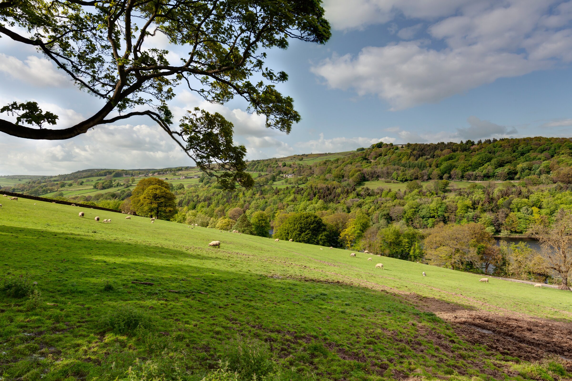 High & Low Bradfield, Sheffield